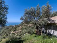 Family Villa with Garden