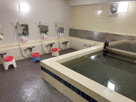 Joshin’Etsukogen National Park Hotel Fujiya