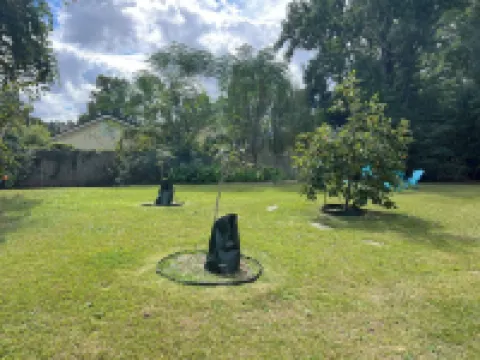 Welcome to “Persimmon Grove” the Cozy Farmhouse with Modern Amenities Hotels in Seventy-First