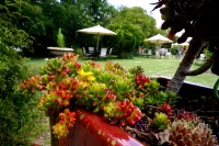 Wine Village Motor Inn