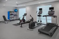 Home2 Suites by Hilton Frankenmuth - Gym