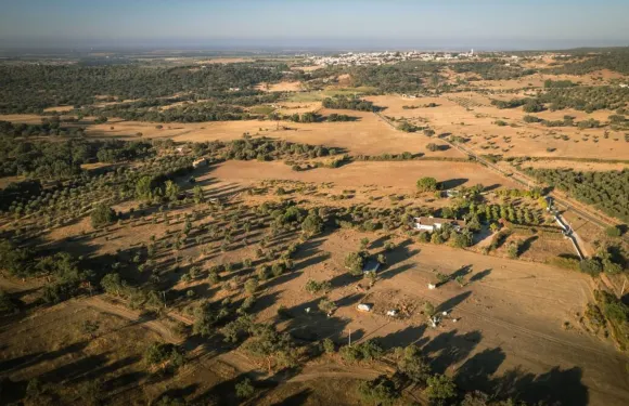 卡薩布加維利亞 - 阿連特茹之根