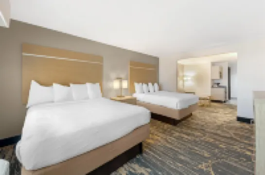 Best Western Plus Killeen/Fort Hood Hotel  Suites Hotels in Killeen