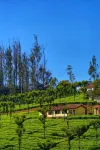 THE HILL BUNK HEIGHTS OOTY - balcony