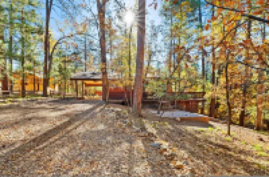 Ponderosa Hideaway 4-br Cabin Mtn View Trails Brbq