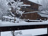 Little Chalet Piguet Hotels in Gryon