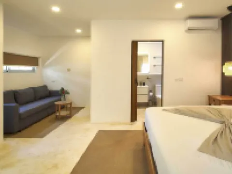 Empyrean Tropical Wellness Portillo Hotels in El Limon