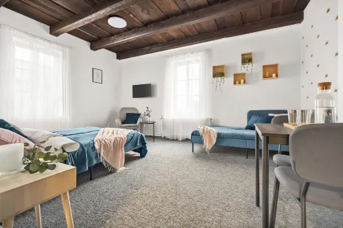 Penzion Village Peace #29 by Goodnite cz - U Libušky - Pensions