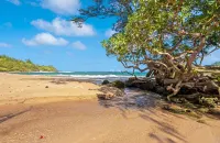 STEPS FROM STUNNING MOLOAA BAY