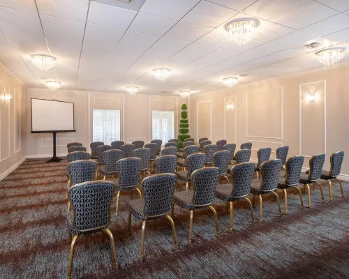 Fantasyland Hotel Business Facilities Photos