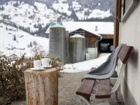 Chalet Reinhysi