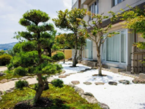 Todaya Hotels near Dolphin Island