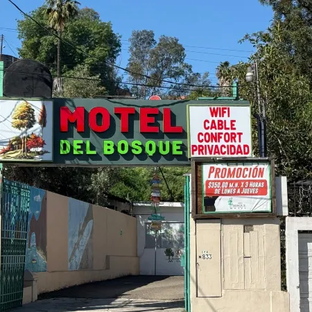 Hotel Del Bosque