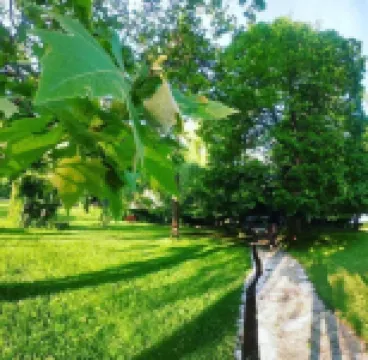 Jazina Hotel Hotel a 