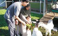 Ubu Villa HnR Farm - Tranquil Villa with Free Farm Adventure