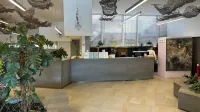 Hotel Castellastva