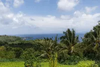 Janggur Baud Hill Nusa Penida - Lodges