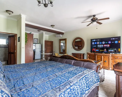 8203 - King, Ocean Dream, Cabarete! Hotels in Cabarete