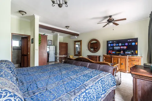 8203 - King, Ocean Dream, Cabarete!