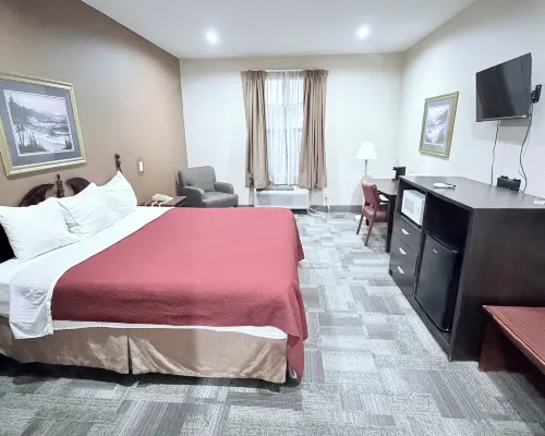 Collins Inn & Suites Hotels in Covington County