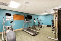 Holiday Inn Express & Suites BRADENTON EAST-LAKEWOOD RANCH by IHG - Gym