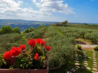 B&B le Foglie d'Argento - Mountain View