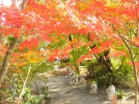 HOTEL AZ 佐賀鳥栖店 - 3つ星