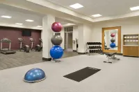 牛頓廣場拉德諾希爾頓花園酒店 - Wi-Fi