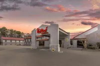 Red Roof Inn & Suites Newport News - Motel