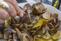 Luxury 3 Bed with Pool View