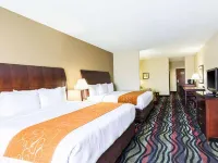 Comfort Suites Beaumont I-10 Hotels in Beaumont