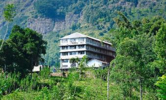 Forest View Lodge