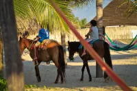 Small Luxury Hotel, Hideaway Near Acapulco on the Beach
