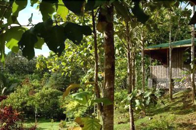 庭 セピロック ジャングル リゾートの写真