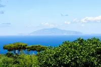 Hotel Bussola Hotels in Anacapri