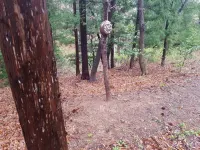 Boseong Saengtae Masil Pension Hotels in Boseong-gun