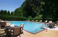 Hilton Atlanta/Marietta Hotel & Conference Center - Pools