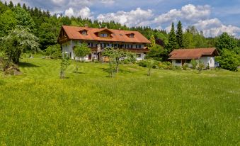 Apartment Falkenstein 5 Stars, at the National Park Bavarian Forest, 4 Guests