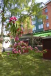 Amrita Hotel Hotels near Dentists, zobarstniecibas kabinets