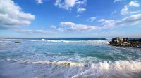 露露高級旅館