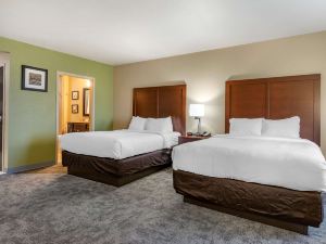 Comfort Inn Bentonville - Crystal Bridges