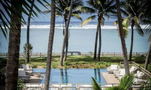 네스 바이 D-오션