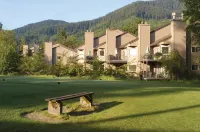 Whispering Woods Resort - Wifi