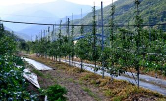 Yeongju Healing Story Pension