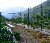 Yeongju Healing Story Pension