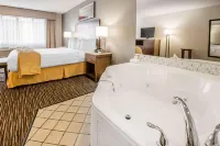 Quality Inn & Suites Hermosa Beach Hotels in Redondo Beach