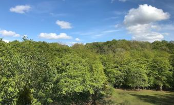 a lush green forest with trees in the background and a blue sky filled with clouds at The Mill at Glynhir