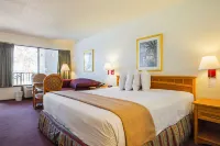 Americas Best Value Inn and Suites Melbourne - Balcony