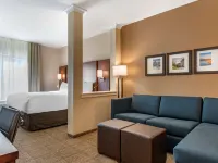 Comfort Suites Camp Hill-Harrisburg West Hotels in Cumberland County