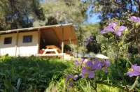 AfriCamps at Mackers - Glamping Hotels in Graskop